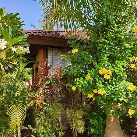 Waiara Village Guesthouse Маумере Экстерьер фото